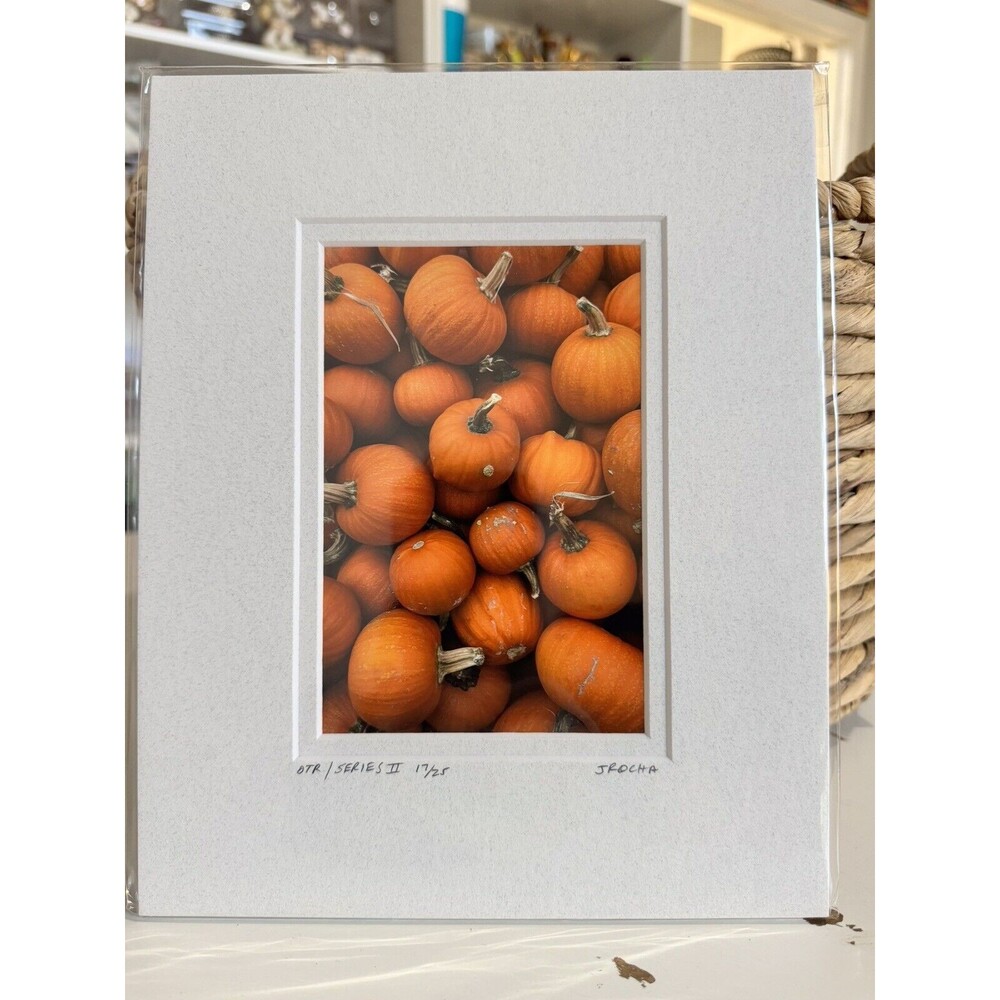 Original Photography 5X7 Picture Double Matted For 8X10 Frame